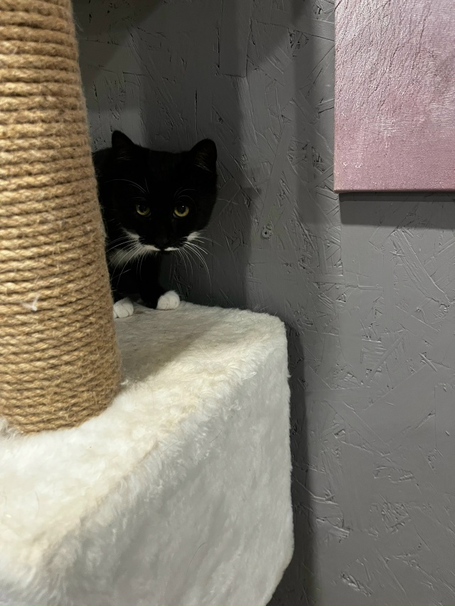 Кировск.
Подарите ребёнку дом и любящую семью 🙏🏻.
Нес...