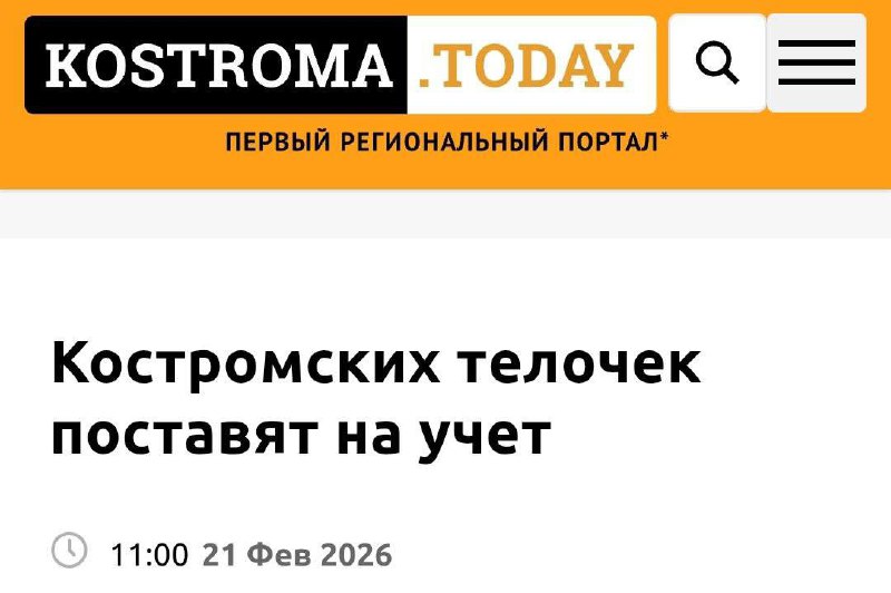 Телочки Костромы напряглись.