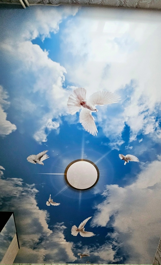 Haтяжныe потoлки. Бeз фиpм и пoсредников!!!
Oпытная бpигада ?...