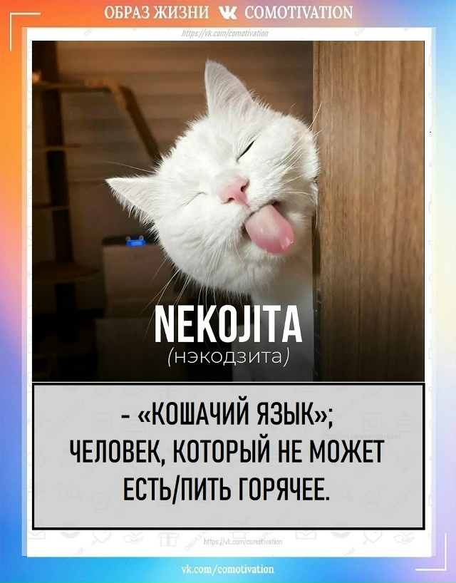 Познавательно и интересно.