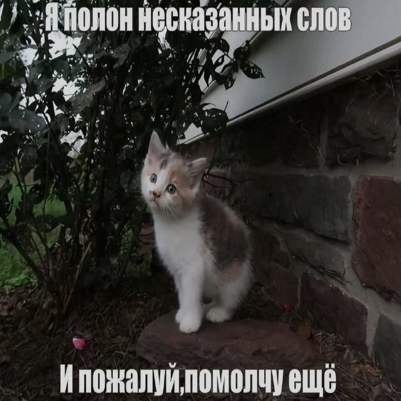 Ночная подборочка
Спать, режим