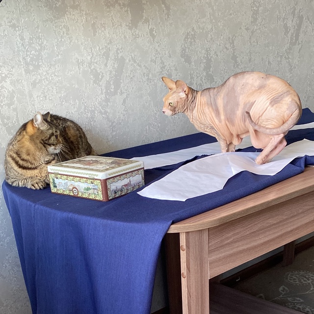 Ну что как у вас по пп и рабочим вопросам? У нас все поле...