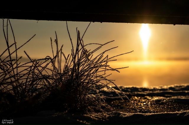 Морозное утро 15 ноября в двадцатом году!
Фото: Юрий Жар...