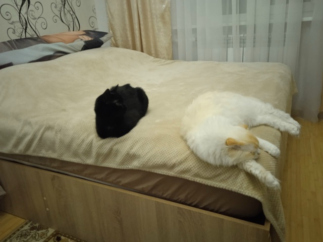 Барон и Леон