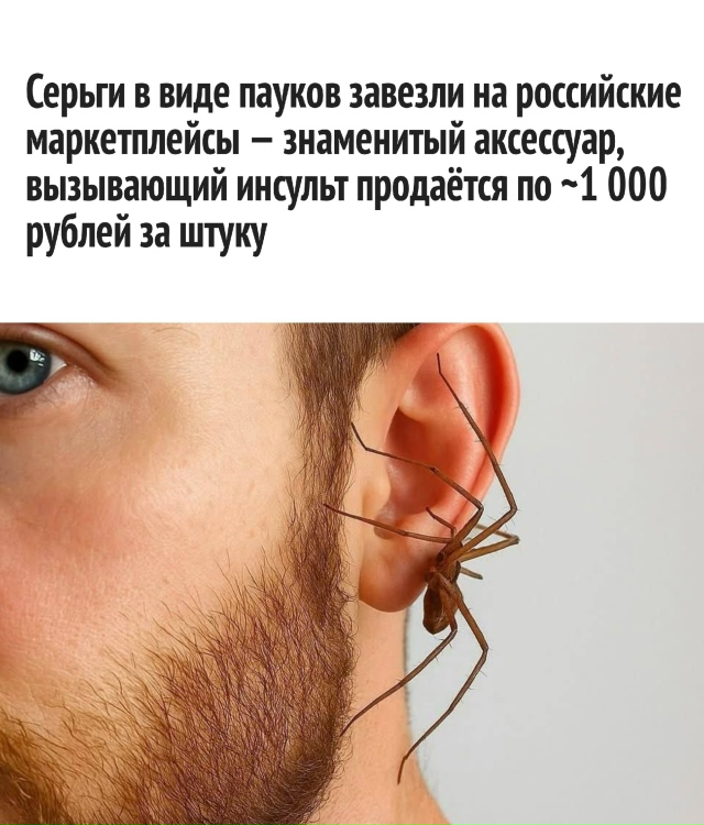 Aрaxнoфобы, y нac для вac плoxие нoвocти