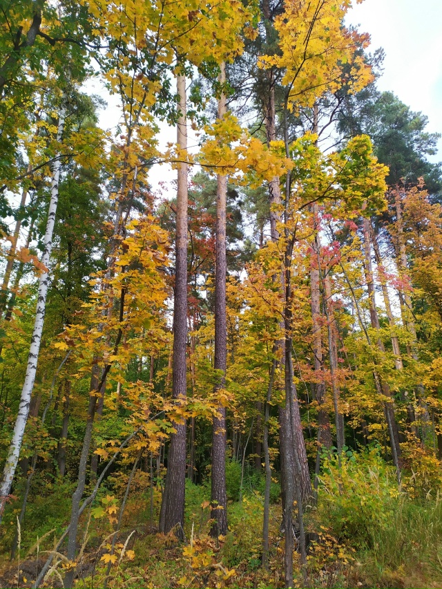 Доброй ночи, Никольск❤