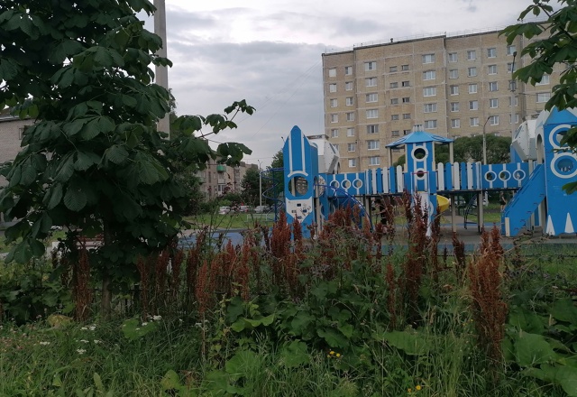 Детская площадка, красивая аллея из каштанов, но всю ка...