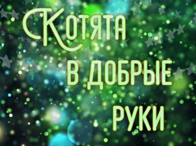 Сестрицы Милашка и Кнопочка, очаровательные девчонки ?...