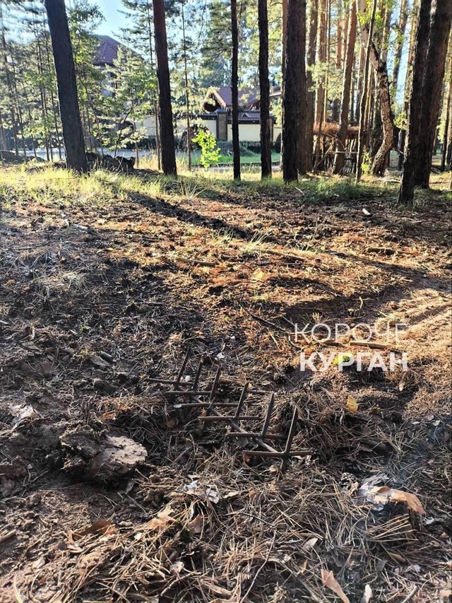 В курганской области люди начали сами бороться с питба...