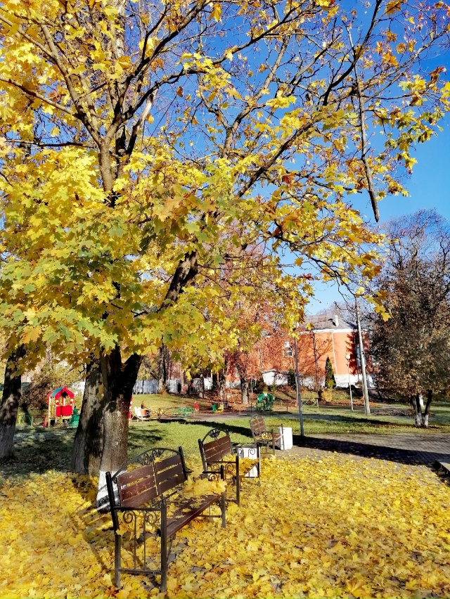 Золотая осень!