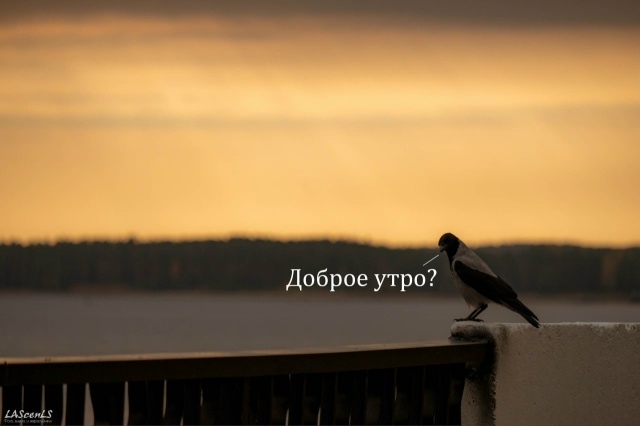 Доброе утро ⛅
Фото: Юрий Жарков