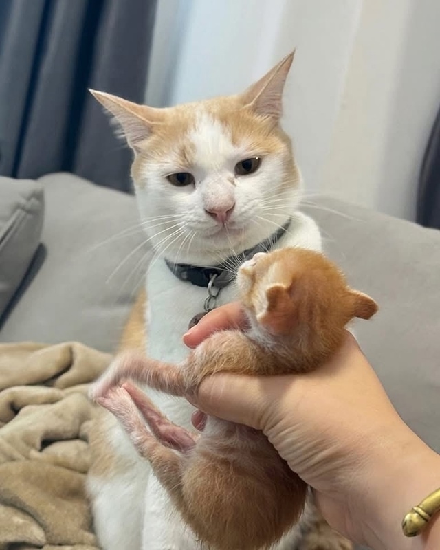 Ты чё мне суёшь, кожаный?
Иди положи где взял!
=»>