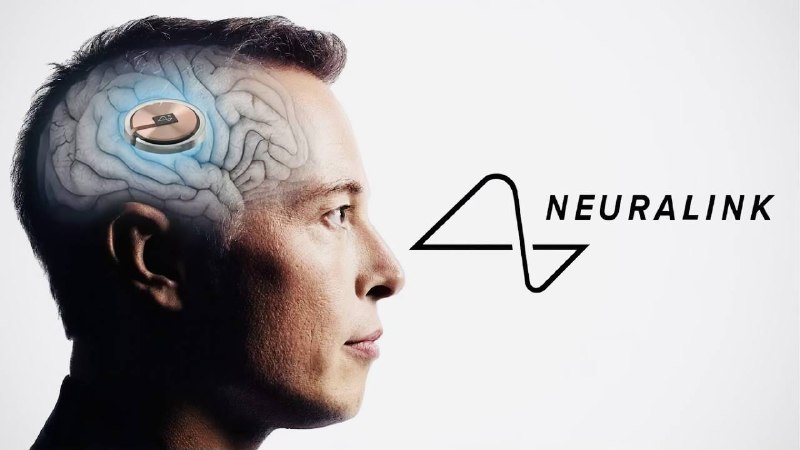Маск заявил, что рассчитывает, что Neuralink в течение следующего года вживит в мозг человека чип, в
