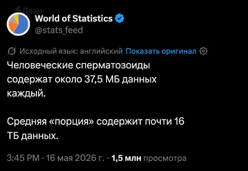 В Сети вспомнили дикий научный факт: один сперматозоид переносит около 37,5 МБ генетической инфы, а