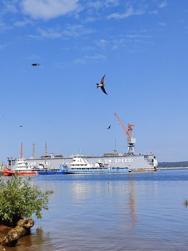 Доброе утро ⛅
Фото: Андрей Соловьев