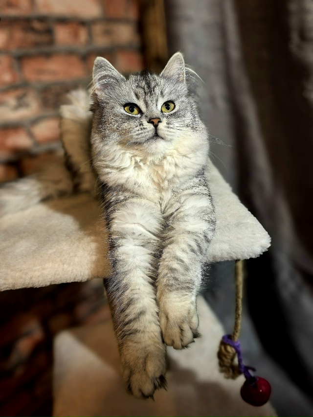 Шушечка ❤️