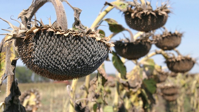 Всем доброго вечера!
Вечером все дневные дела законче?...