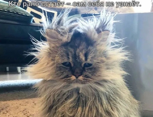 Всем легкого рабочего понедельника ☺️