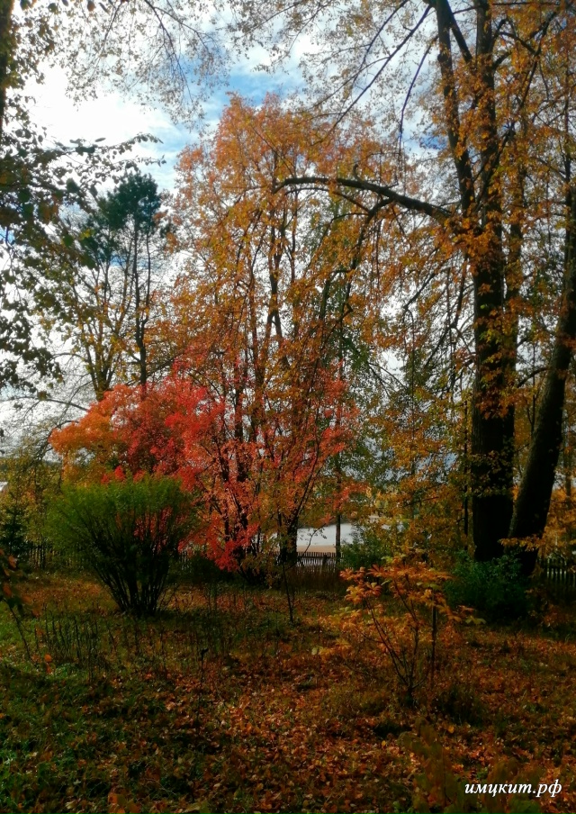 🍂Осень в Спиринском саду 🍂