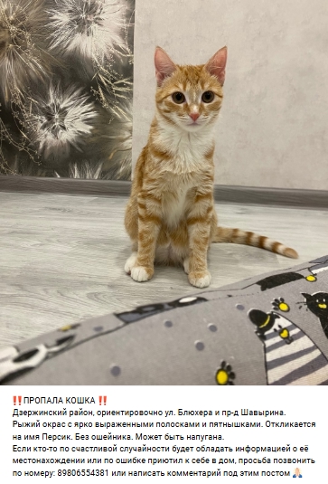 Пост добра. Распространите, пожалуйста.