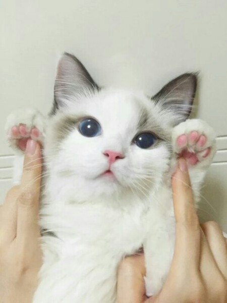 😍💕