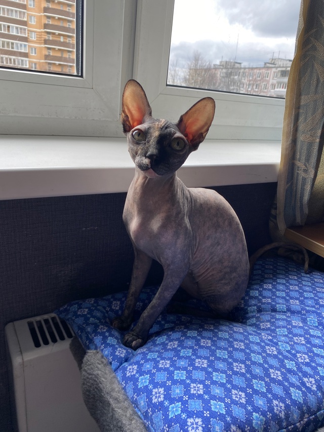 Джульке годик! ?
p.s. Последнее фото сделано в первый д?...