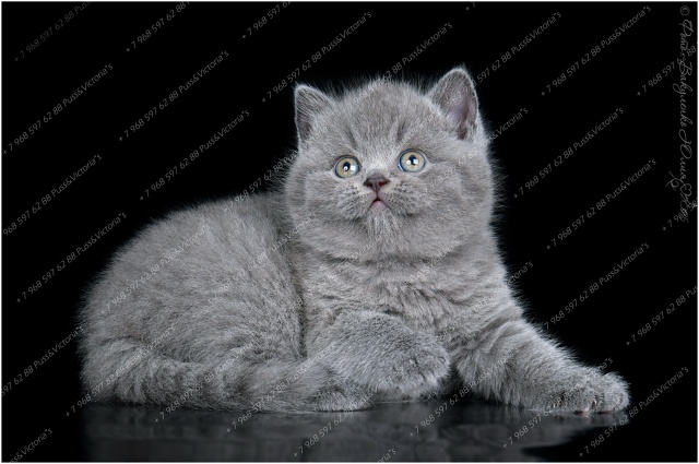 Как вам наши девочки? ?