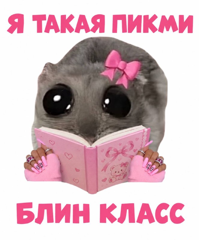 как, по моему мнению, меня видят люди, когда я читаю книжку в общественном транспорте