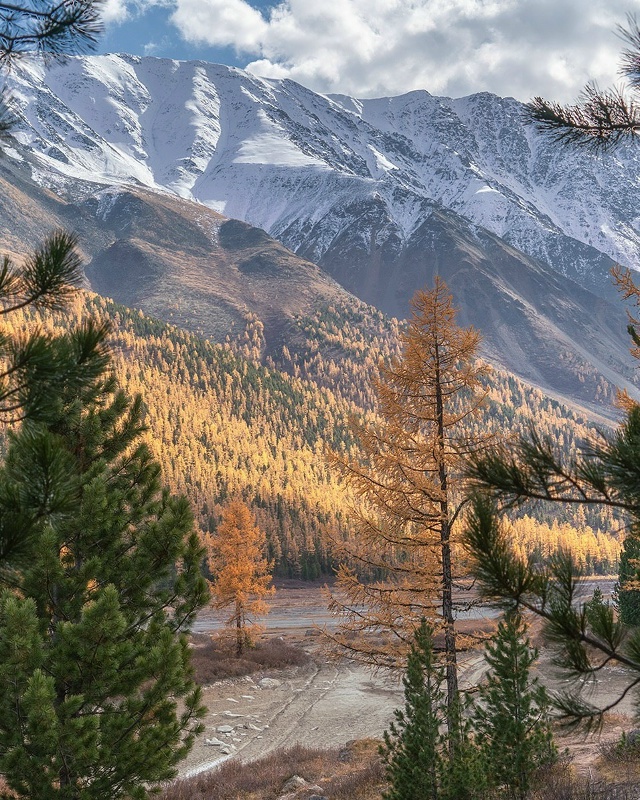 Актру, Алтай 🇷🇺