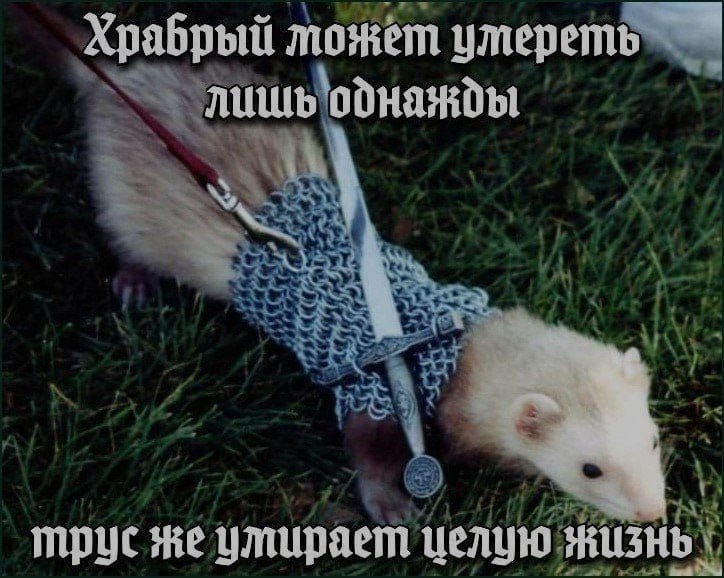 Ночная подборочка
Выходные, не спим