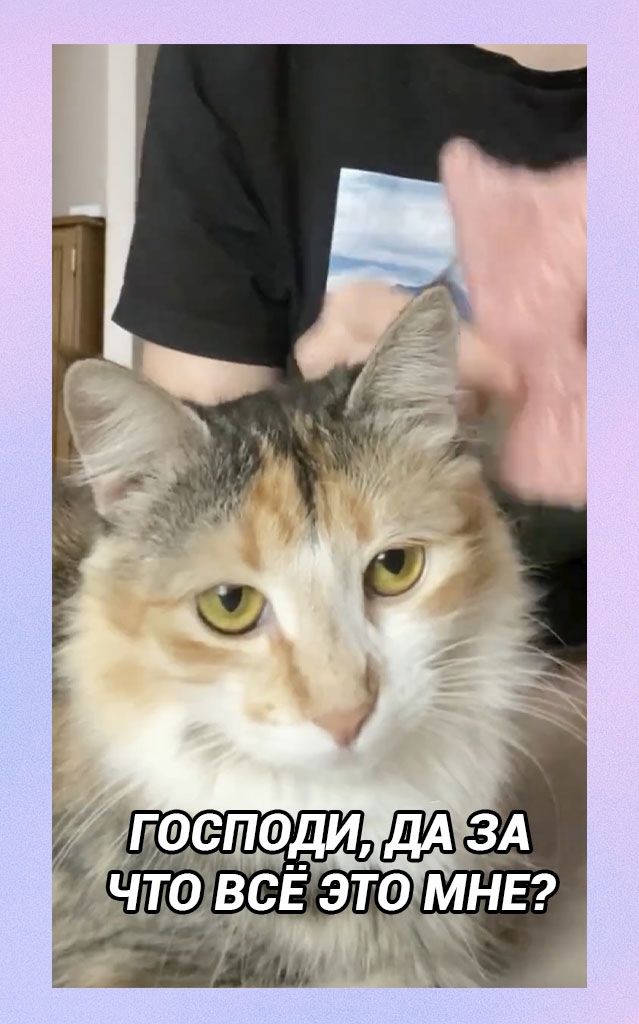 Наступили холода, пора утепляться, но ей почему-то не п?...