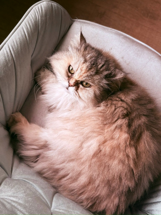 ‼️Помогите, пожалуйста
11 октября 2025 года около 10 часо...