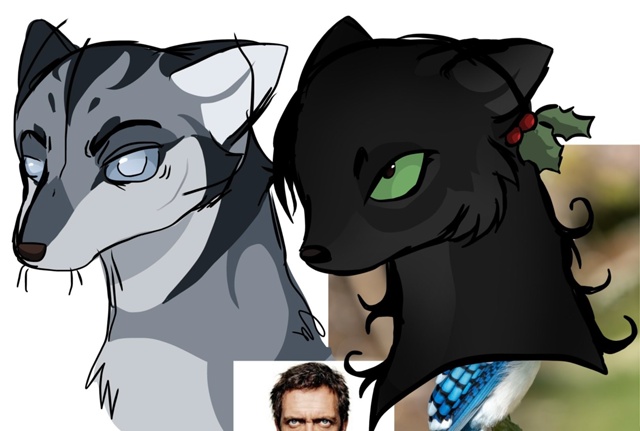 Воробей и Остролистая
© maybekelab
#KV_ZZ_ART