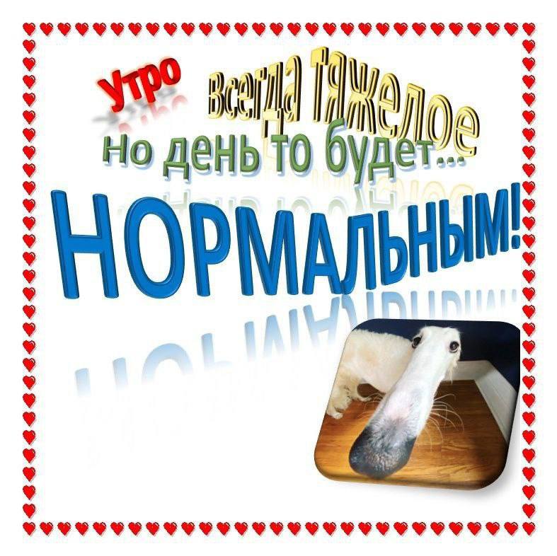 Утренняя подборочка