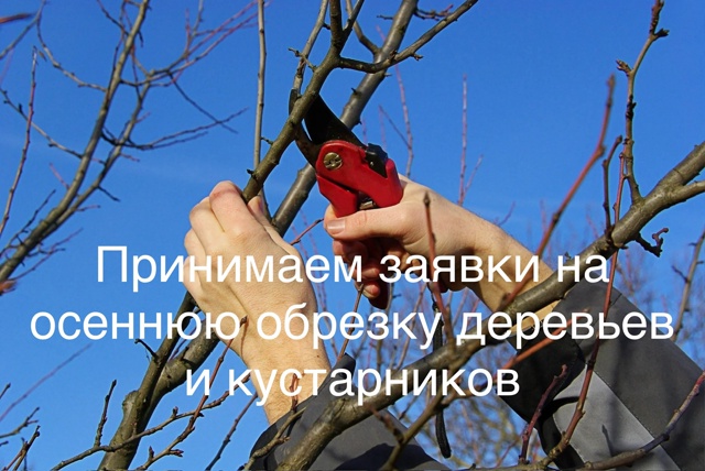 ‼️Отличная новость для садоводов г.Бузулук!
🌿🌳 9 Окт...