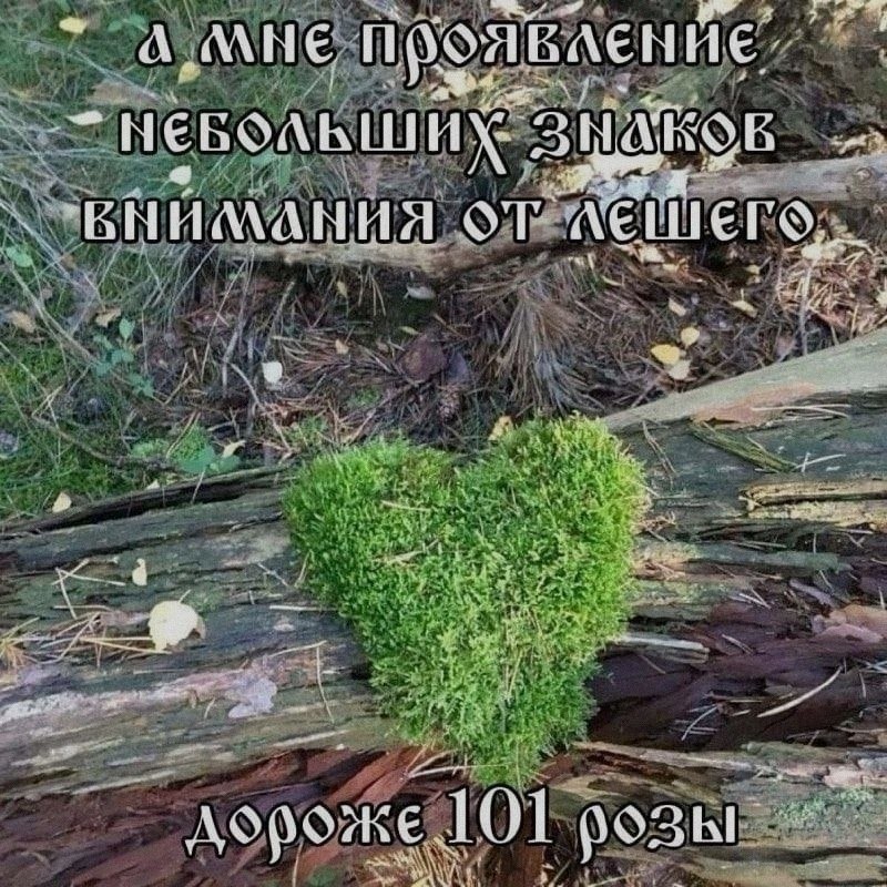Ночная подборочка
Выходные, не спим
