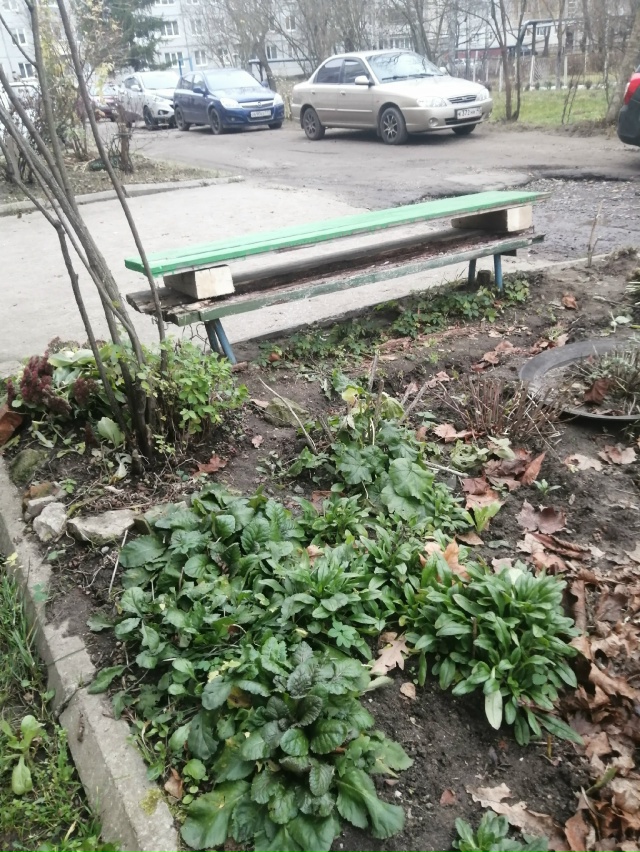 Лавка 21 века