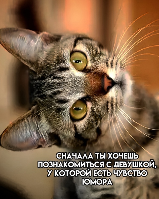 Жаль этих добряков