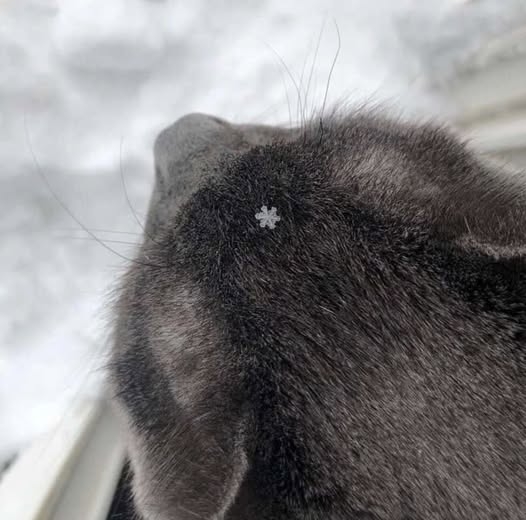 Привет, декабрь❄