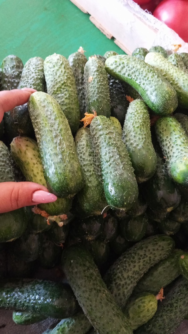 🔥Предлагаем вашему вниманию продукцию местных бахче?...