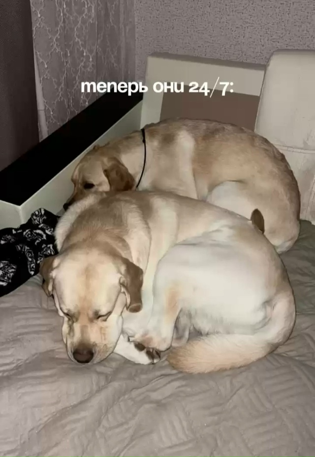 Главное - уют