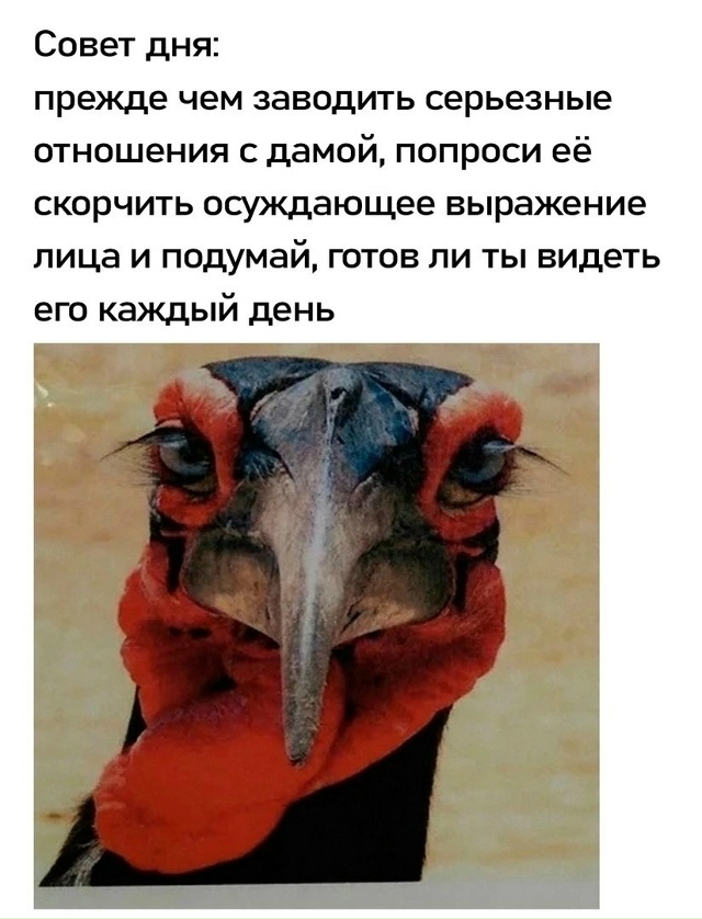 Очень важный совет.