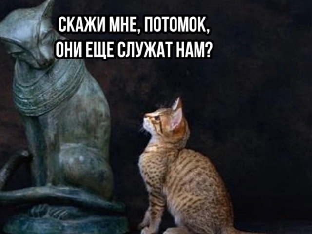 Всё идет как нужно