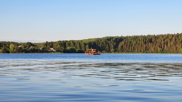 На пруду замечен бухлоход