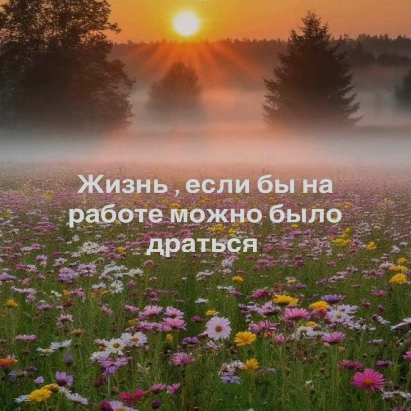 Ночная подборочка
Спать, режим
