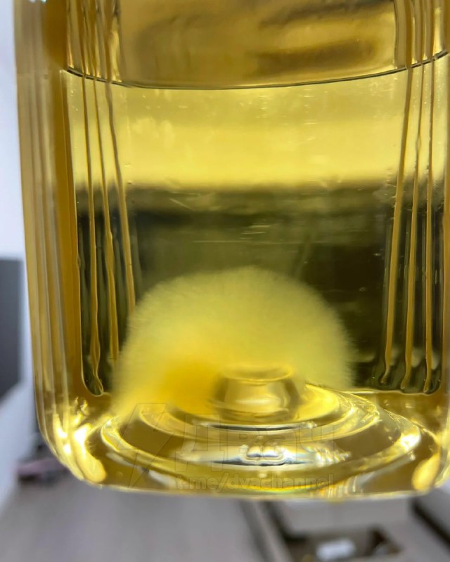 Китайцы начали заводить чайную плесень в качестве питомцев
Они покупают несладкий чай и оставляют б