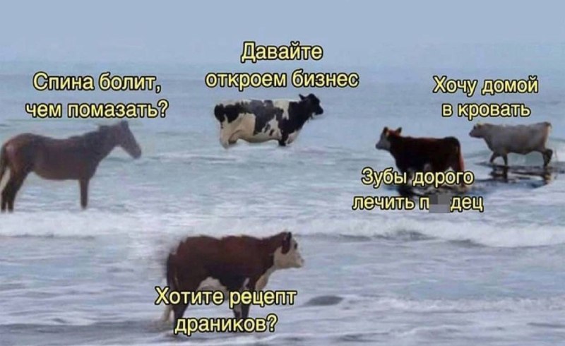 обычные разговоры в молодом коллективе: