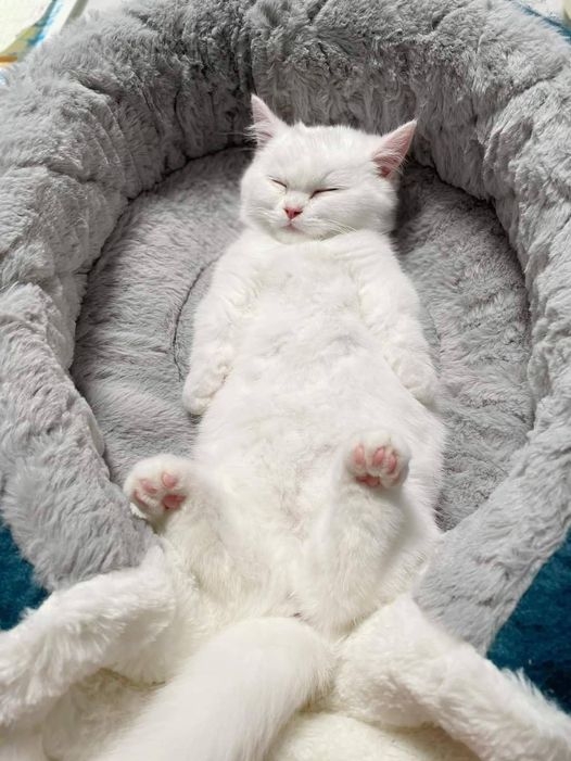 Показалось?