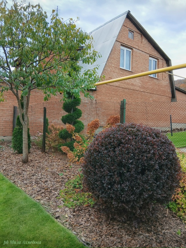 Несмотря на пасмурный октябрьский день четверга. ?
...