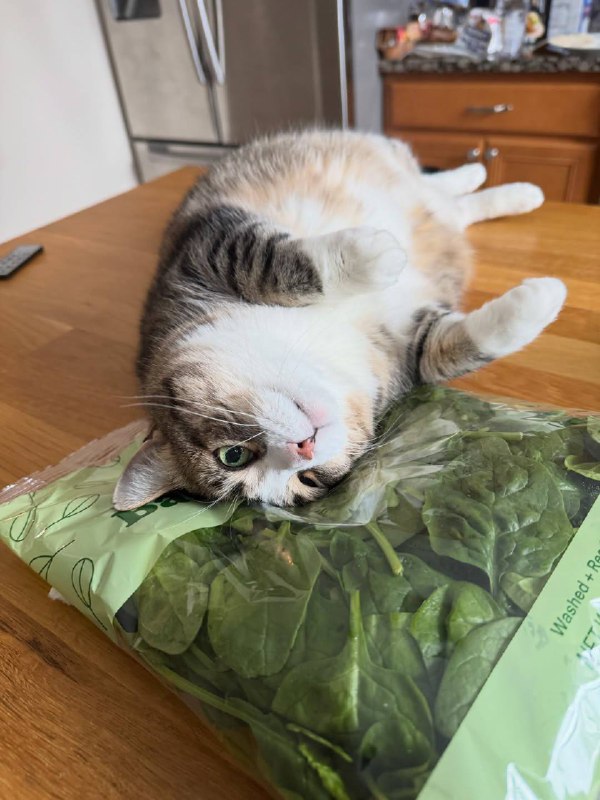 Оо шпинатек, ты такой мягонький